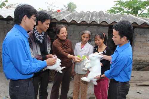 Kiểm tra mô hình nuôi thỏ của gia đình anh Nguyễn Văn Ký (thôn Đồi Ngang, xã Thanh Lưu, huyện Thanh Liêm).
